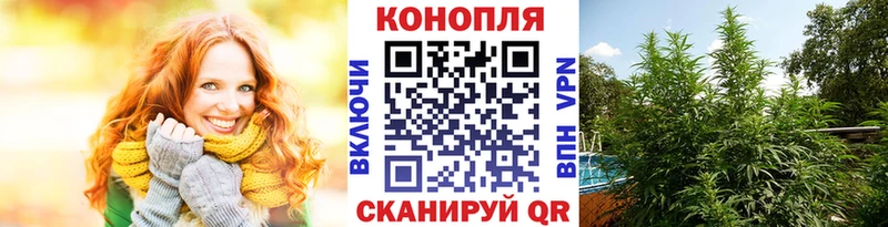 Канабис ГИДРОПОН Шацк